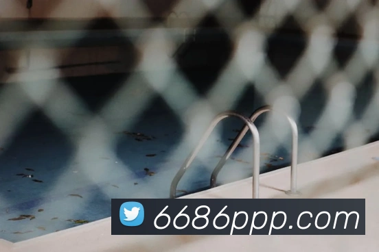 6686APP 封面图